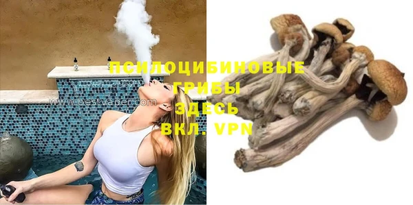гидра Протвино