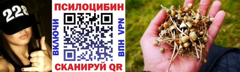 купить наркотик Агрыз блэк спрут зеркало Галлюциногенные грибы GOLDEN TEACHER